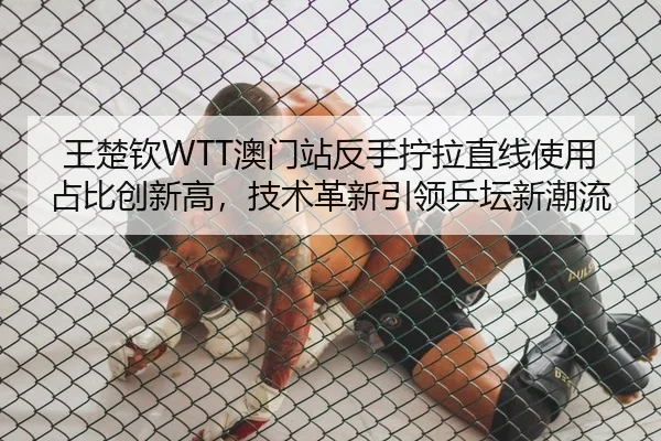 wang-chu-qin-ao-men-zhan-fan-shou-ning-la-zhi-xian-shi-yong-zhan-bi-chuang-xin-gao-ji-shu-ge-xin-yin-ling-ping-tan-xin-2-111.jpg